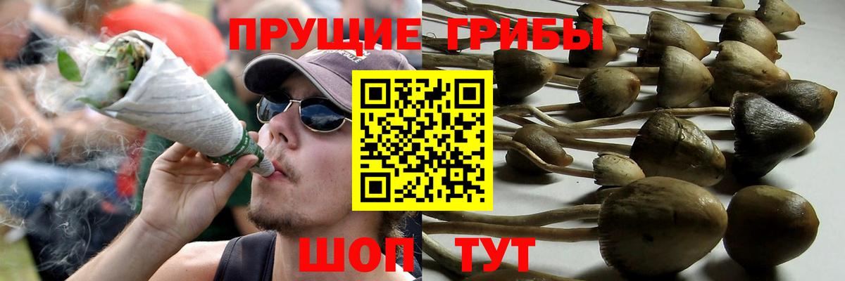 Полысаево  Псилоцибиновые грибы Magic Shrooms  Вход с VPN 